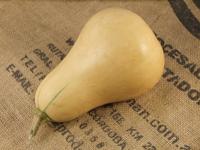 Picture of Butternut Squash ORGANIC