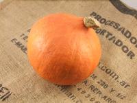 Picture of Red Hokkaido Squash ORGANIC