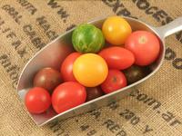 Picture of Wild Tomatoes Prepack ORGANIC