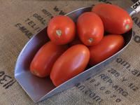 Picture of Roma Tomatoes ORGANIC