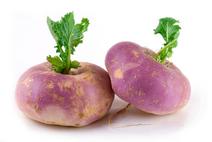 Picture of Turnip ORGANIC