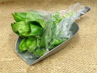 Picture of Fresh Basil ORGANIC