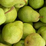 Picture of Williams Pears ORGANIC