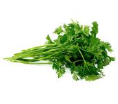 Picture of Fresh Parsley UK ORGANIC