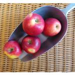 Picture of Apples Crimson Crisp ORGANIC