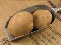 Picture of Baker Potato ORGANIC