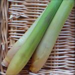 Picture of Lemongrass ORGANIC