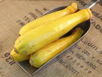 Picture of Yellow Courgette ORGANIC