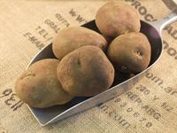 Picture of Arran Victory Potato ORGANIC