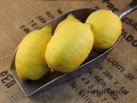 Picture of Lemon Large ORGANIC