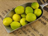 Picture of Lime ORGANIC