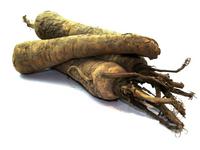 Picture of Parsnip UK ORGANIC