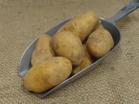 Picture of Arinda Potato ORGANIC