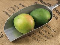 Picture of Mango ORGANIC