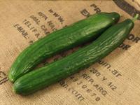 Picture of Cucumber UK ORGANIC