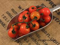 Picture of Cherry Tomatoes on the vine UK ORGANIC