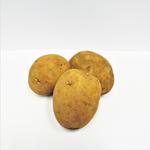 Picture of Marfona Potato ORGANIC