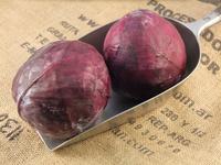 Picture of Red Cabbage ORGANIC