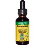 Picture of Goldenseal Root Extract 