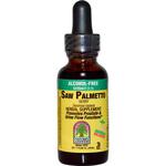 Picture of Saw Palmetto Berry Extract 