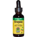 Picture of Gymnema Leaf Extract 