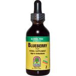Picture of Blueberry Fruit Extract 