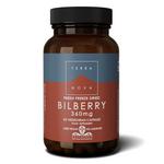 Picture of Bilberry 360mg Supplement Vegan