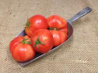 Picture of Rose de Berne Tomatoes ORGANIC