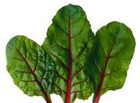 Picture of Red Chard Prepack ORGANIC