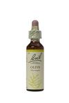 Picture of Olive Flower Remedies 