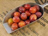 Picture of Red Plum ORGANIC