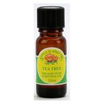 Picture of  T-Tree Essential Oil ORGANIC