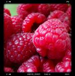 Picture of Raspberries ORGANIC