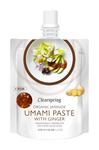 Picture of  Umami Paste With Ginger ORGANIC