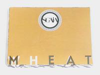 Picture of Mheat Original Seitan Steak dairy free