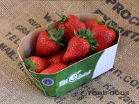 Picture of Strawberries ORGANIC