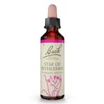 Picture of Star of Bethlehem Flower Remedies 