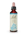 Picture of Flower Remedy Vine Bach