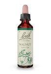 Picture of Flower Remedy Walnut Bach
