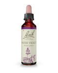 Picture of Flower Remedies Water Violet 