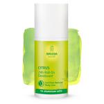 Picture of Citrus Deodorant Roll-On Vegan