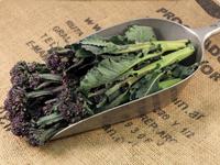 Picture of Purple Sprouting Broccoli UK ORGANIC