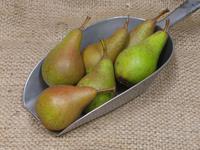 Picture of Concorde Pears ORGANIC