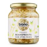 Picture of  Bean Sprouts ORGANIC