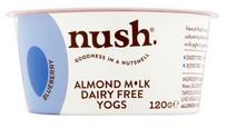 Picture of Blueberry Almond Milk Yoghurt dairy free, Vegan