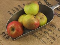 Picture of Cox's Apples ORGANIC