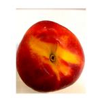 Picture of Nectarines ORGANIC