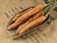 Picture of Carrots ORGANIC