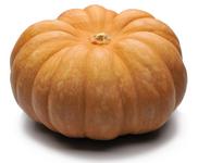 Picture of Musquee de Provence Squash ORGANIC