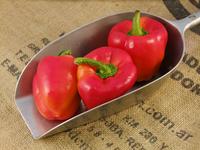 Picture of Red Pepper ORGANIC
